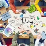 Diverse People Working and Marketing Concept